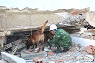 Vietnamese contingent races against time to search for earthquake victims in Venezuela